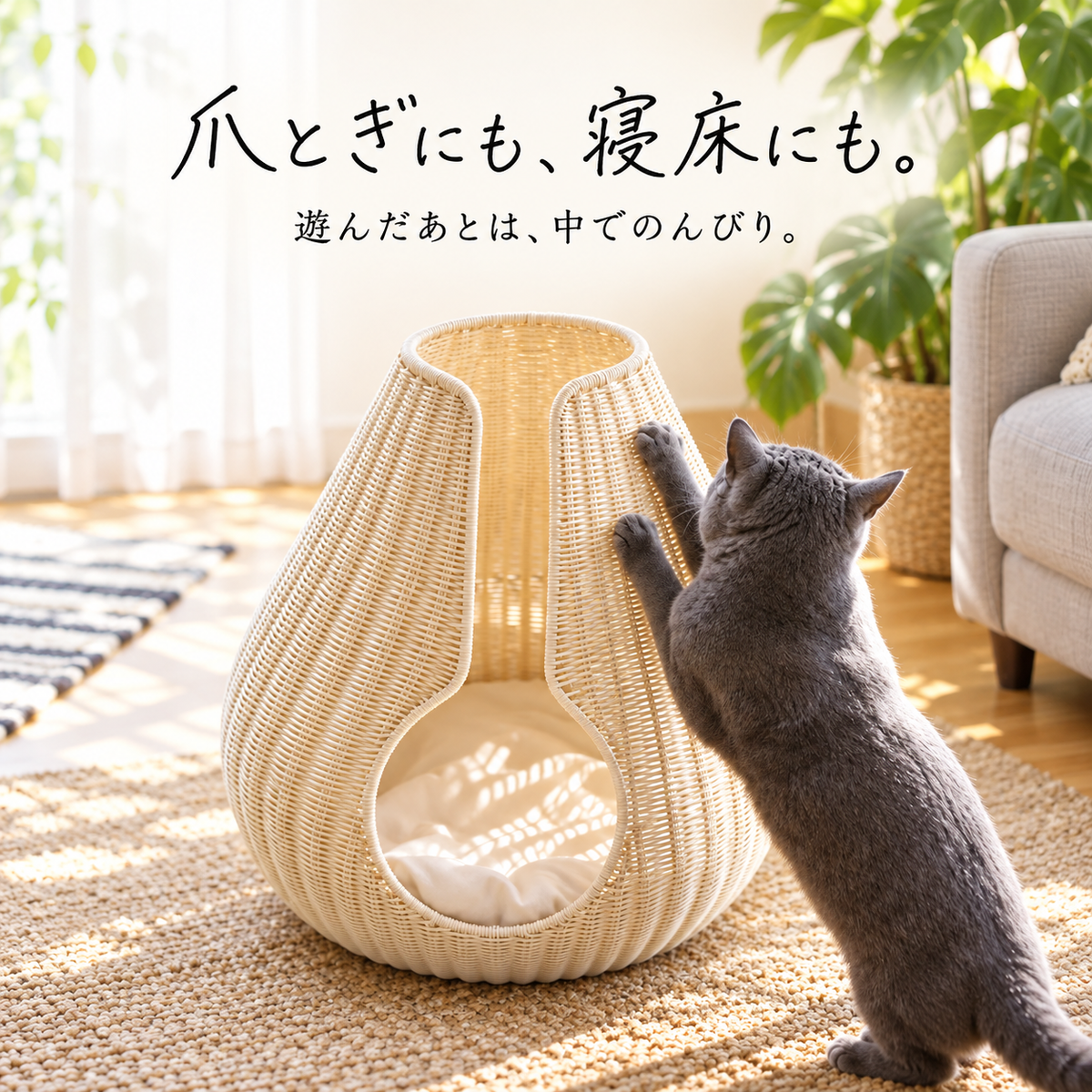 Shizuku キャットハウス