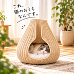 Shizuku キャットハウス