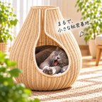 Shizuku キャットハウス