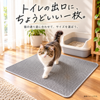 2層式 猫砂キャッチマット