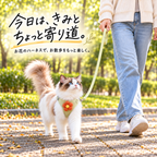 お花付き ベスト型ハーネス＆リードセット 猫・小型犬用 全4色 XS〜L